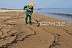 Ликвидация последствий разлива нефтепродукта на побережье с помощью сорбента "Ньюсорб"